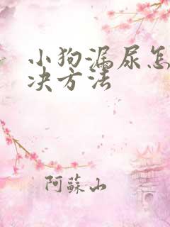 小狗漏尿怎么解决方法