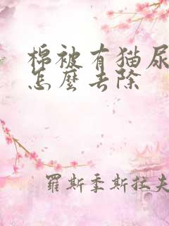 棉被有猫尿骚味怎么去除