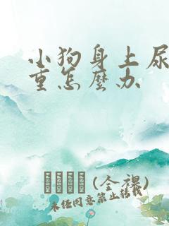 小狗身上尿骚味重怎么办