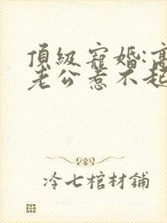 顶级宠婚:高冷老公惹不起免费阅读正版