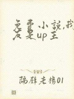 免费小说,我女友是up主