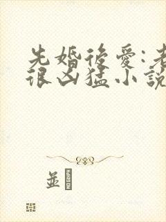 先婚后爱:老公很凶猛小说完整免费