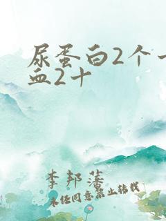 尿蛋白2个十潜血2十