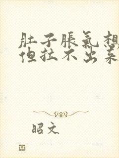 肚子胀气想拉屎但拉不出来