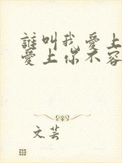 谁叫我爱上你,爱上你不容易