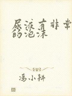 尿液有非常细小的泡沫