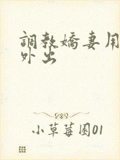 调教娇妻用跳蛋外出