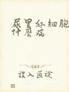 尿里红细胞高是什么病