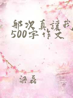 那次真让我感动500字作文