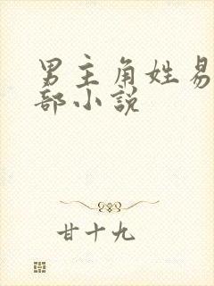 男主角姓易的全部小说