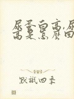 尿蛋白高,尿酸高是怎么回事