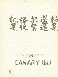 凯格尔运动吸气是收紧还是放松