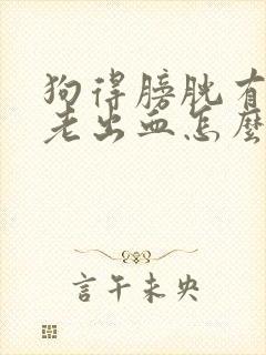 狗得膀胱有结石老出血怎么办