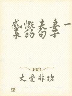 感慨夫妻一路走来的句子