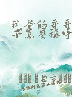 我爸的哥哥的儿子怎么称呼