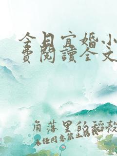 今日宜婚小说免费阅读全文