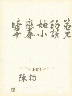 暗恋她的第十一年春小说免费阅读