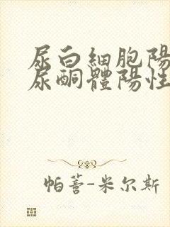 尿白细胞阳性,尿酮体阳性