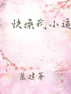 快操我小逼逼