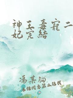 神王毒宠二嫁王妃完结