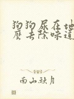 狗狗尿在地上怎么去除味道