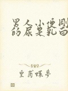 男人小便刚开始的尿是乳白色