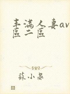丰满人妻av一区二区