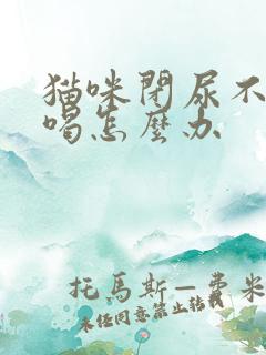 猫咪闭尿不吃不喝怎么办