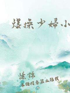 爆操少妇小视频