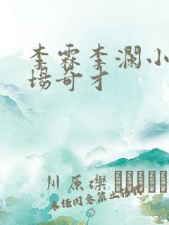 李霖李澜小说官场奇才