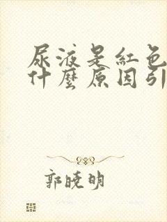 尿液是红色的是什么原因引起的