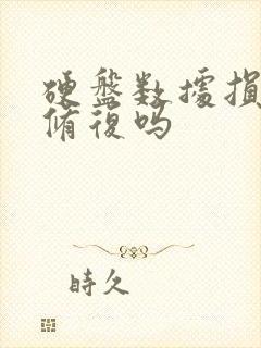 硬盘数据损坏能修复吗