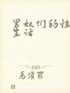 男奴们的性调教生活