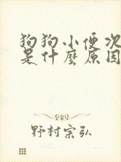 狗狗小便次数多是什么原因