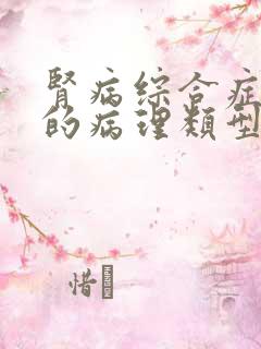 肾病综合症常见的病理类型