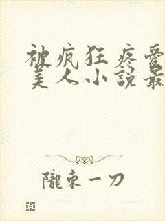 被疯狂疼爱的小美人小说最新章节