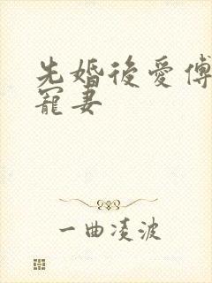 先婚后爱傅总超宠妻