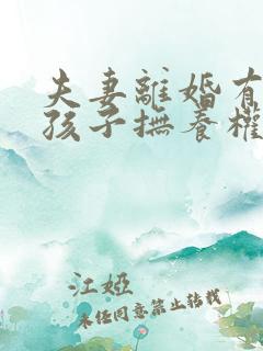 夫妻离婚有两个孩子抚养权怎么判定