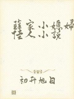 薛家小媳妇 笑佳人小说