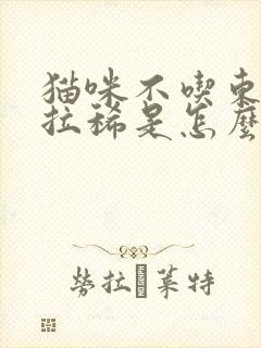 猫咪不吃东西还拉稀是怎么回事