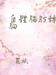 自体脂肪转移隆胸