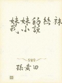 妹妹的丝袜调教我小说