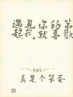 遇见你的第一天起我就喜欢你歌词