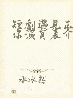 短剧遇见正确的你演员表介绍