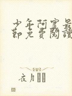 少年阿宾最新章节免费阅读