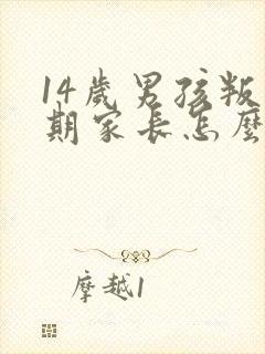 14岁男孩叛逆期家长怎么办