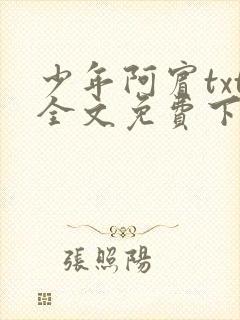 少年阿宾txt全文免费下载