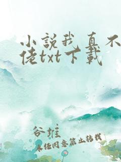 小说我真不是大佬txt下载