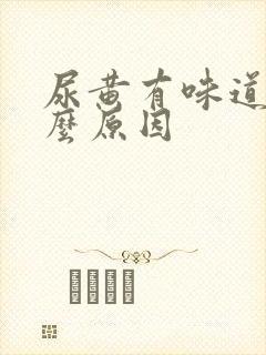 尿黄有味道是什么原因