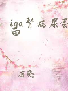 iga肾病尿蛋白